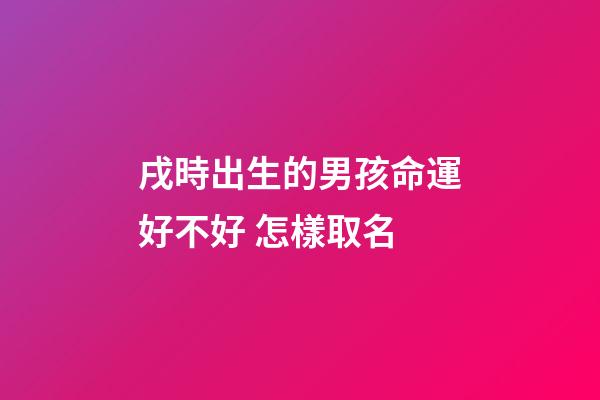戌時出生的男孩命運好不好 怎樣取名